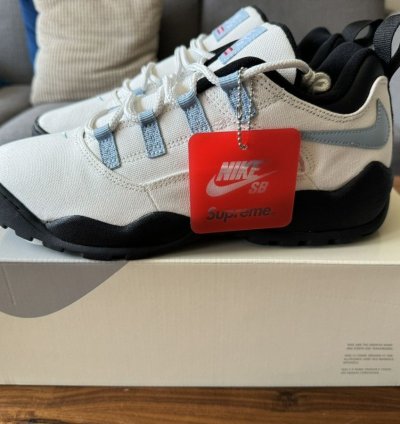 Supreme Nike Sb Darwin Low Sail Size 10 5 In Hand