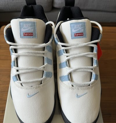 Supreme Nike Sb Darwin Low Sail Size 10 5 In Hand