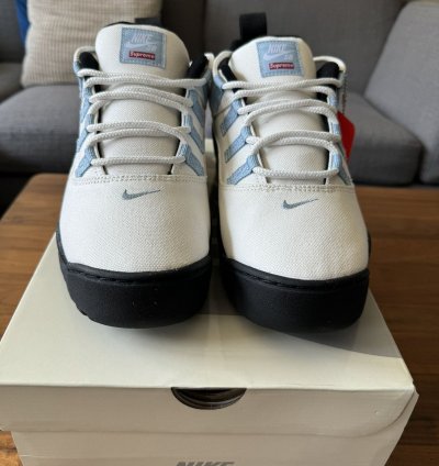 Supreme Nike Sb Darwin Low Sail Size 10 5 In Hand