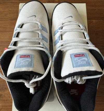 Supreme Nike Sb Darwin Low Sail Size 10 5 In Hand