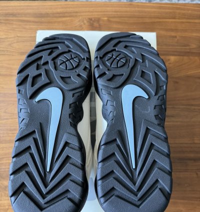 Supreme Nike Sb Darwin Low Sail Size 10 5 In Hand