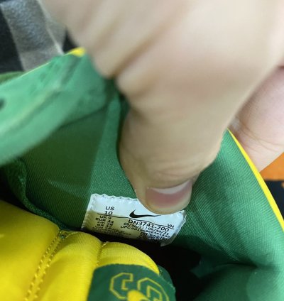 Supreme Nike Sb Dunk High Brazil
