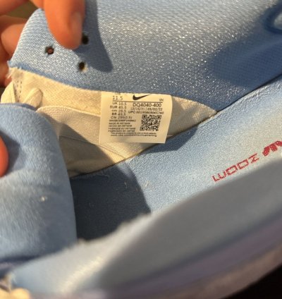 Phillies Sb Dunk Low