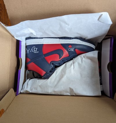 Supreme Nike Sb Dunk High By Any Means Size 10