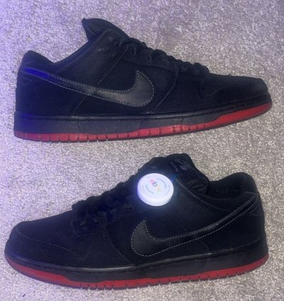 Rare Dunk Low Premium Sb Levi