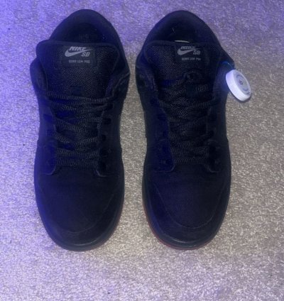 Rare Dunk Low Premium Sb Levi