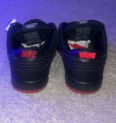 Rare Dunk Low Premium Sb Levi