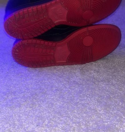 Rare Dunk Low Premium Sb Levi