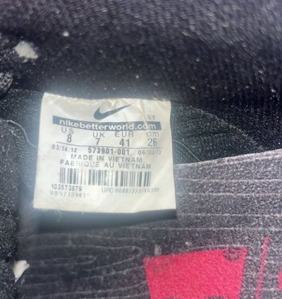 Rare Dunk Low Premium Sb Levi