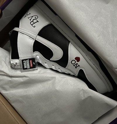 Supreme Nike Sb Dunk High By Any Means Size 10 5