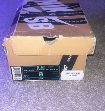 Rare Dunk Low Premium Sb Levi