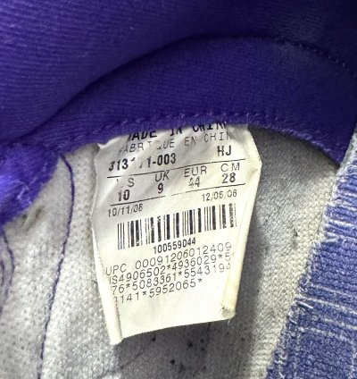 Rare Nike Sb Dunk High Dinosaur Jr