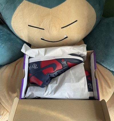 Supreme Nike Sb Dunk High Red Navy