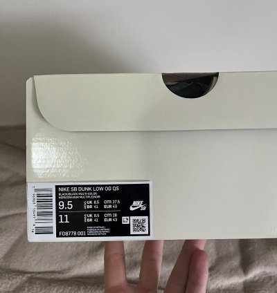 Supreme Nike Sb Dunk Low Rammellzee 9 5
