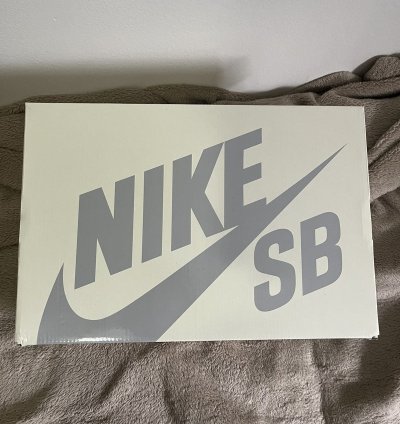 Supreme Nike Sb Dunk Low Rammellzee 9 5