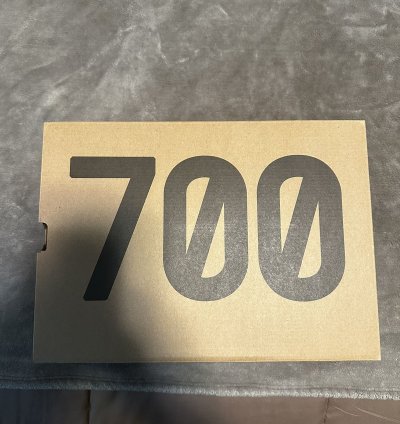 Adidas Yeezy 700 Boost - Salt
