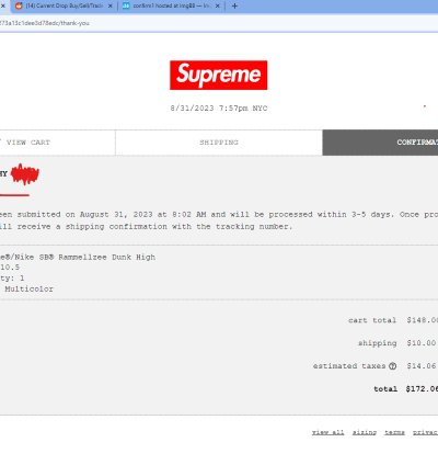 Supreme Nike Sb Rammellzee Dunk High 10 5