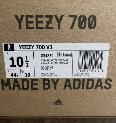 Adidas Yeezy 700 V3 Arzareth
