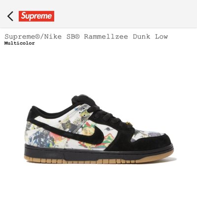 Supreme Nike Sb Rammellzee Dunk Low Size 12 Multicolor