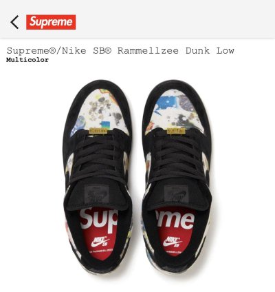 Supreme Nike Sb Rammellzee Dunk Low Size 12 Multicolor