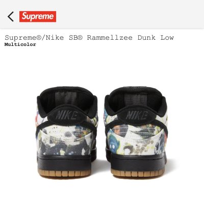 Supreme Nike Sb Rammellzee Dunk Low Size 12 Multicolor