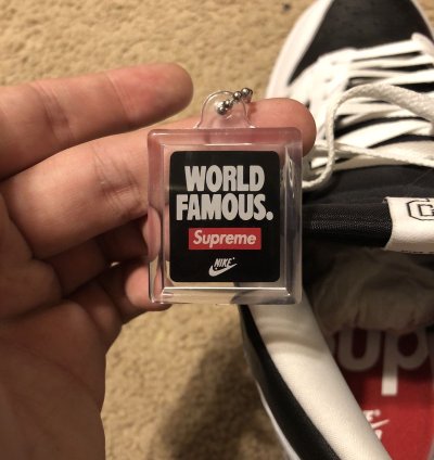 Supreme Nike Stormtrooper Dunks