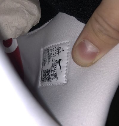 Supreme Nike Stormtrooper Dunks
