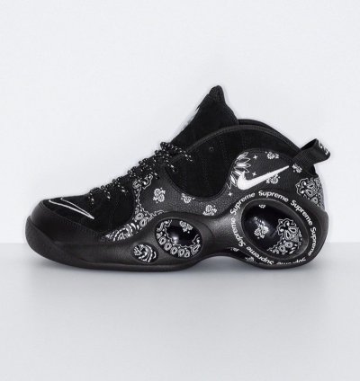 Supreme Nike Zoom Air Flight 95