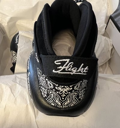 Supreme Nike Zoom Air Flight 95