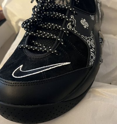 Supreme Nike Zoom Air Flight 95