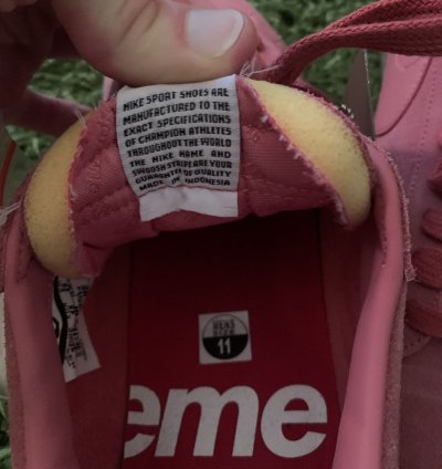 Supreme Sb Blazer Low Gt Desert Bloom 2016