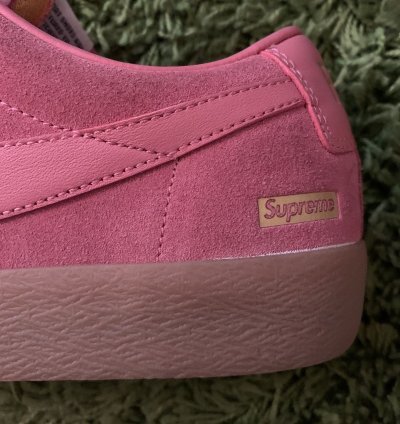 Supreme Sb Blazer Low Gt Desert Bloom 2016