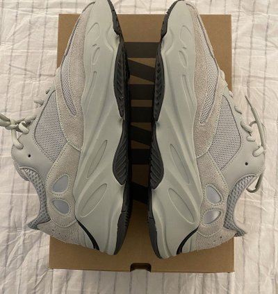 Adidas Yeezy Boost 700 Salt Brand New