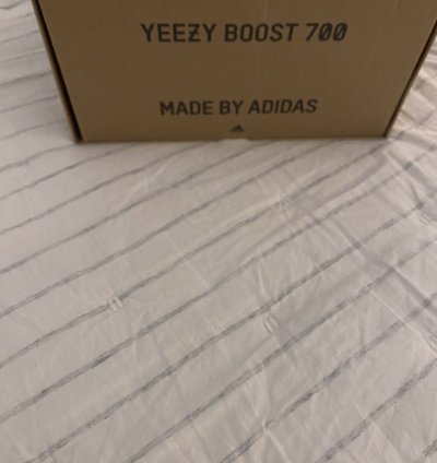 Adidas Yeezy Boost 700 Salt Brand New
