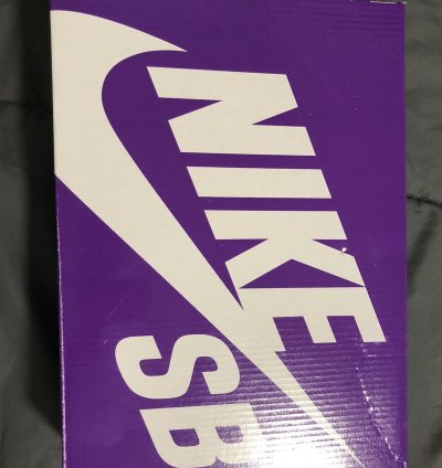 Supreme Sb Dunk High By Any Means