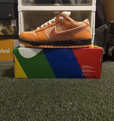 Size 10 - Nike Sb Dunk Concepts Orange Lobster Dunk