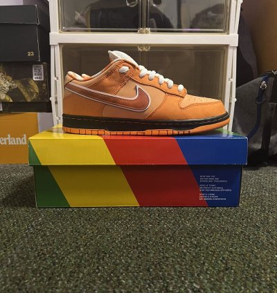 Size 10 - Nike Sb Dunk Concepts Orange Lobster Dunk