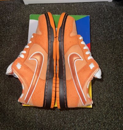 Size 10 - Nike Sb Dunk Concepts Orange Lobster Dunk