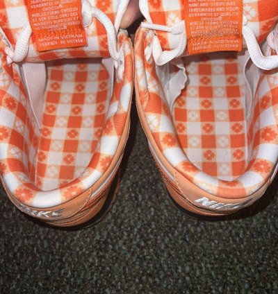 Size 10 - Nike Sb Dunk Concepts Orange Lobster Dunk