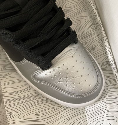 Supreme Sb Dunk Low Metallic Silver Jewel 8