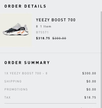 Adidas Yeezy Boost 700 Wave Runner Size 8