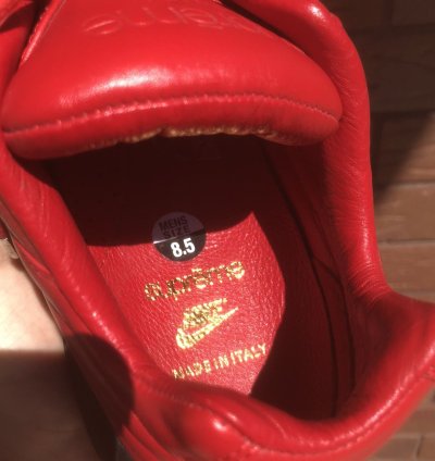 Supreme Swarovski Air Max 95 Lux Gym Red 2019