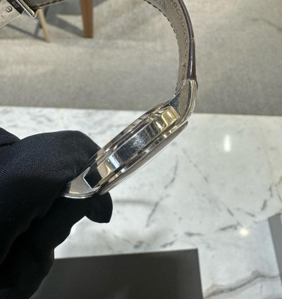 Patek Philippe Complications 5172g-010
