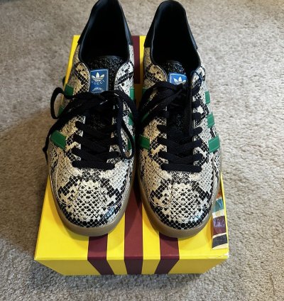 Gucci Adidas Gazelle Python