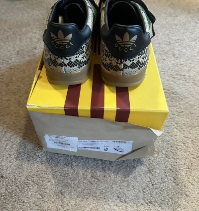 Gucci Adidas Gazelle Python
