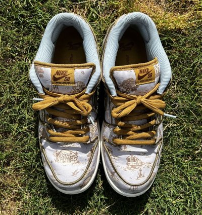 The Nike Sb Dunk Low City Of Style
