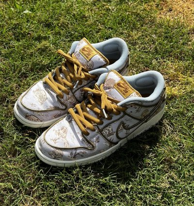The Nike Sb Dunk Low City Of Style