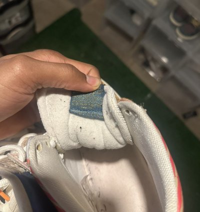 Thomas Campbell Sb Dunk High