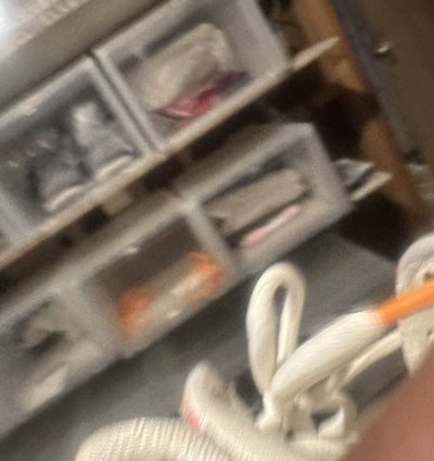 Thomas Campbell Sb Dunk High
