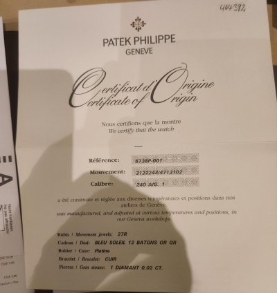 Patek Philippe Golden Ellipse Magnifique Patek Phillippe En Platine Avec Diamant 0 2 Carat